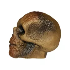 Burnt Skull at Spencer's