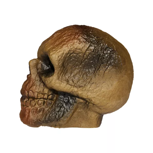 Burnt Skull at Spencer's