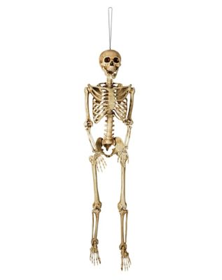 Decayed 5FT factory posable skeleton