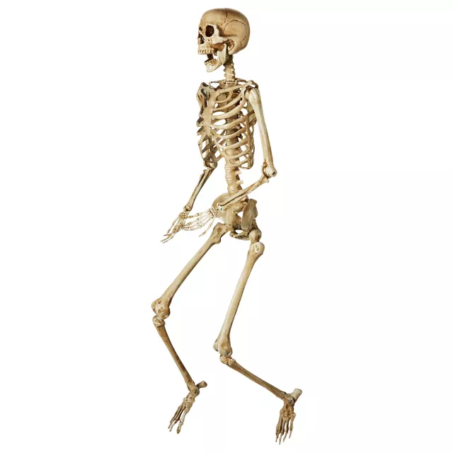 5 Ft Posable fashion Decayed Skeleton with LED Eyes