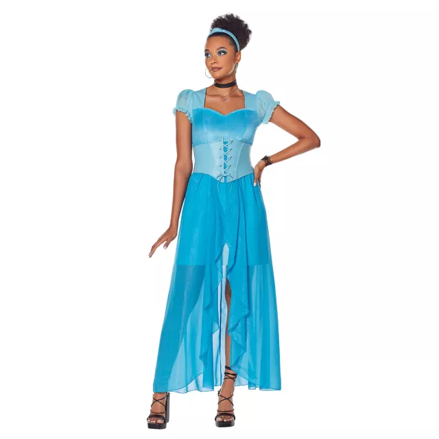 Adult Cinderella Dress Costume Disney Princess