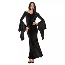 Adult Morticia Addams Costume - The Addams Family at Spirit Halloween