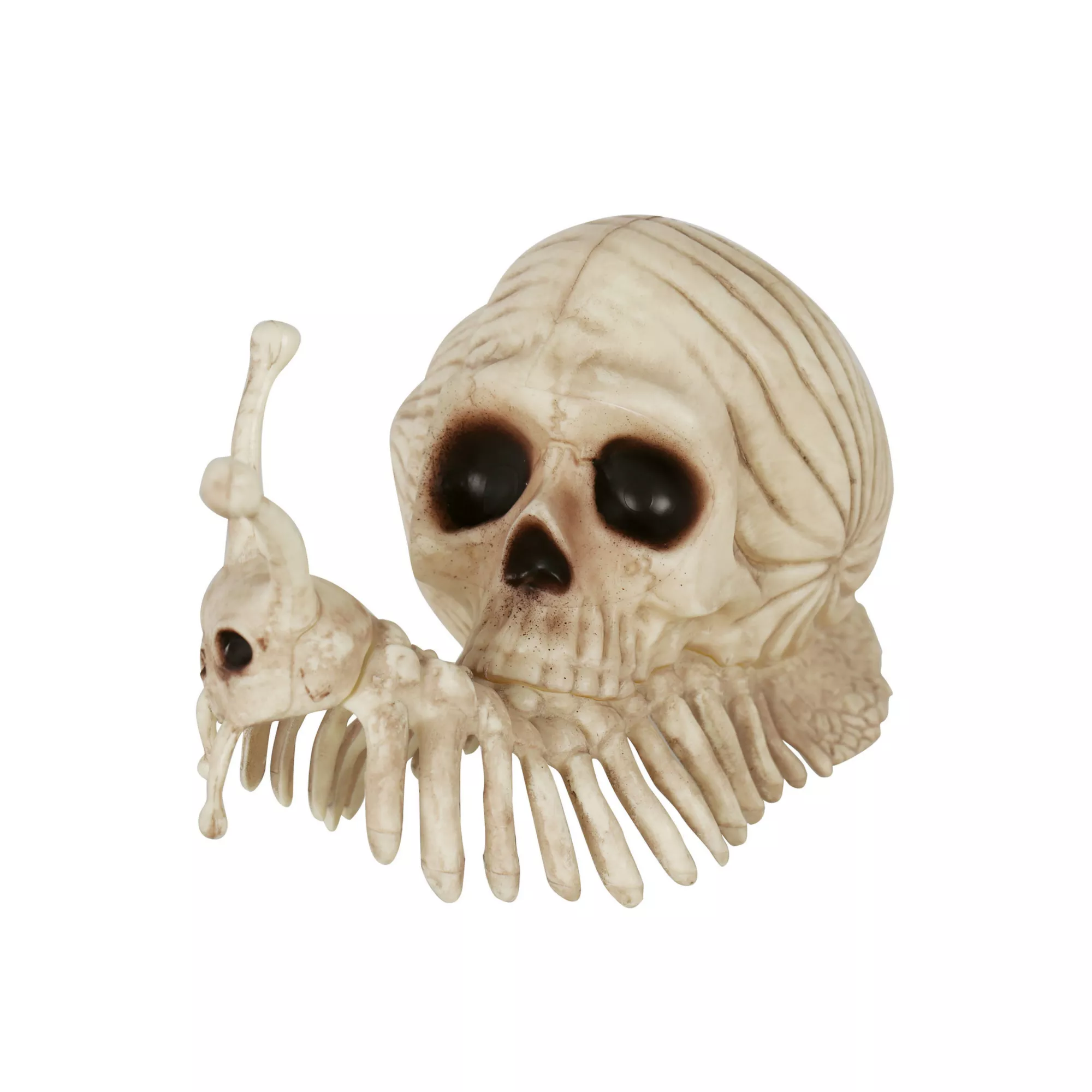 Skeleton Skull Snail at Spencer's