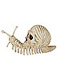 Skeleton Skull Snail