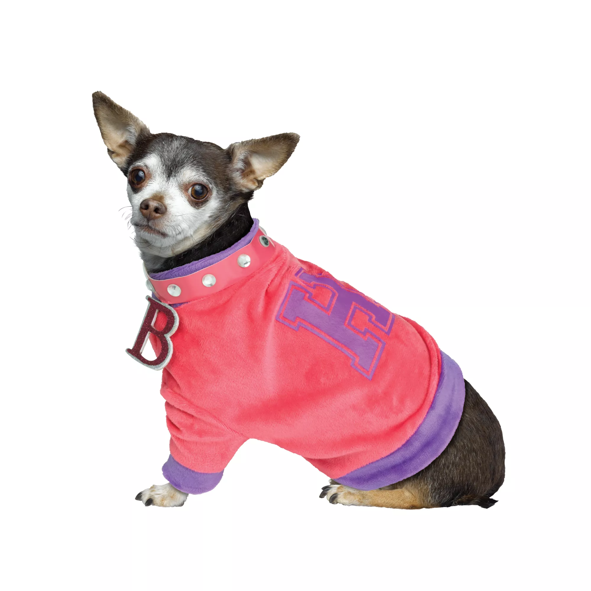 Legally Blonde Pet Costume at Spirit Halloween
