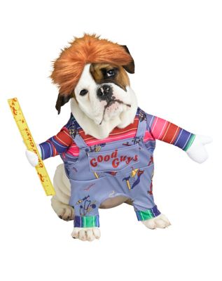 11 Halloween Dog Costumes from Hocus Pocus, Shrek, and More