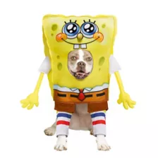 SpongeBob SquarePants Pet Costume - Nickelodeon at Spirit Halloween