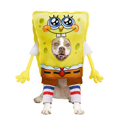 SpongeBob SquarePants Pet Costume - Nickelodeon 
