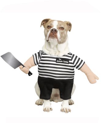 addams family thing dog costume