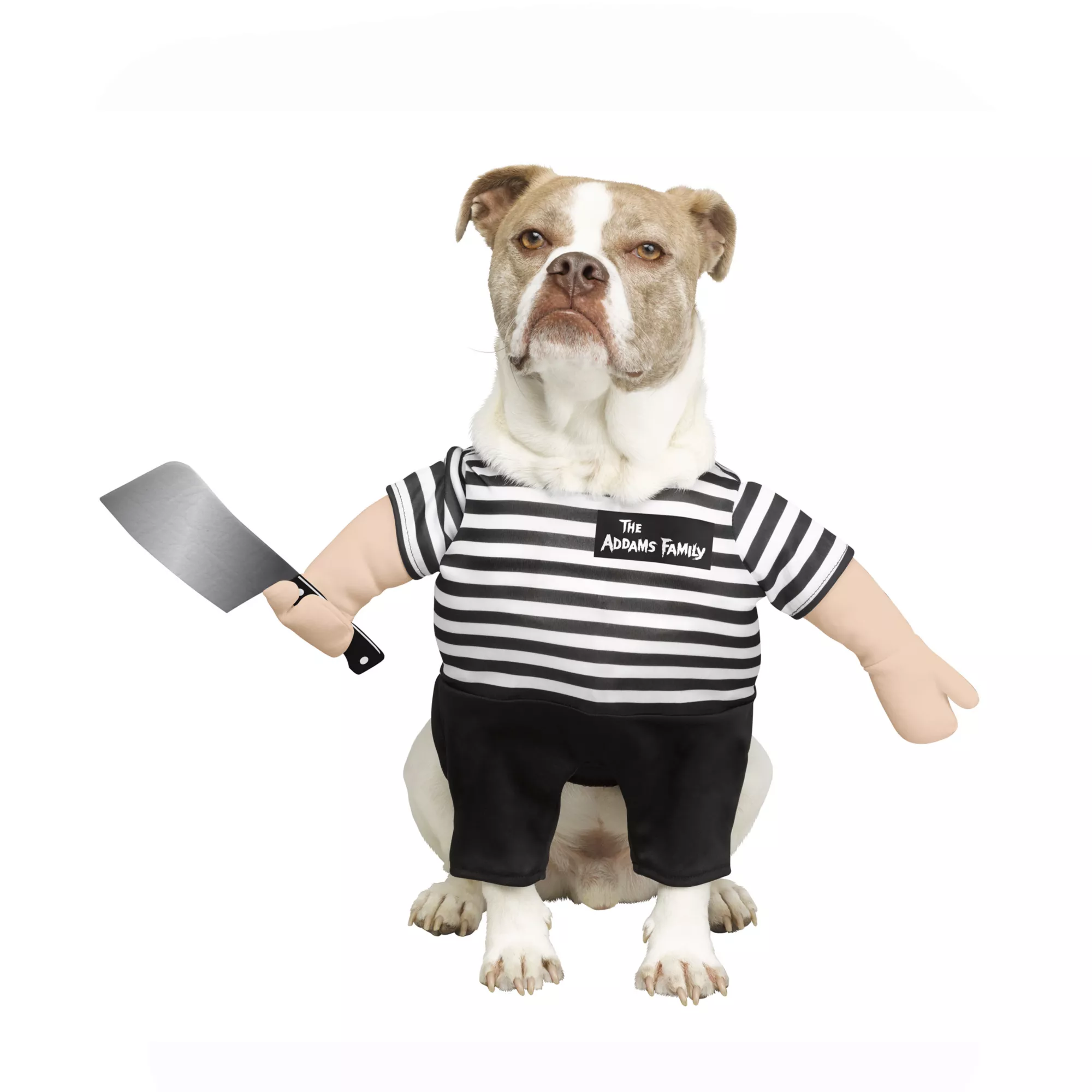 Pugsley Addams Pet Costume - The Addams Family at Spirit Halloween
