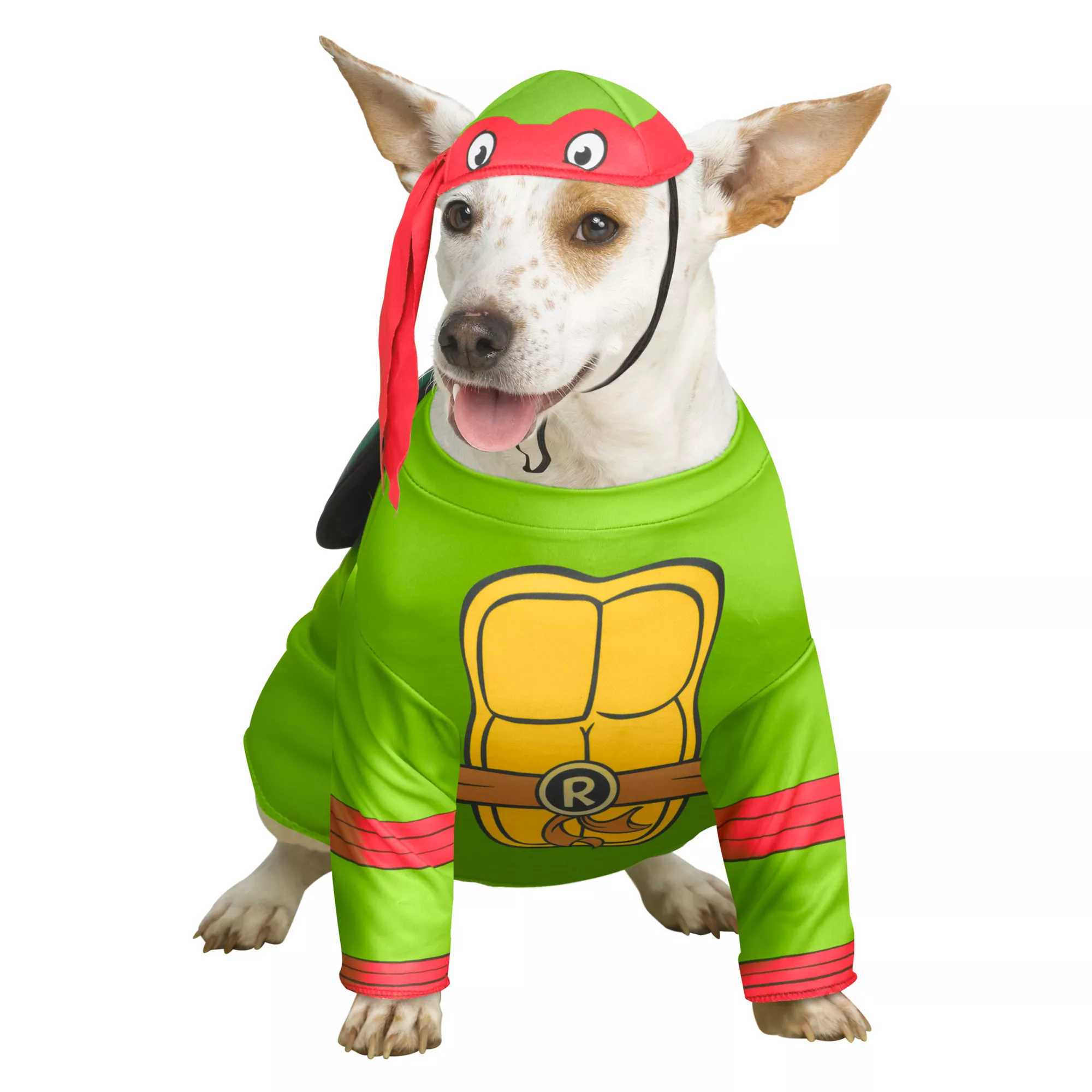 Raphael Pet Costume - Teenage Mutant Ninja Turtles at Spirit Halloween