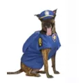 Paw Patrol Pet Costume at Spirit Halloween