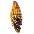 Evil Corn Mask at Spencer's