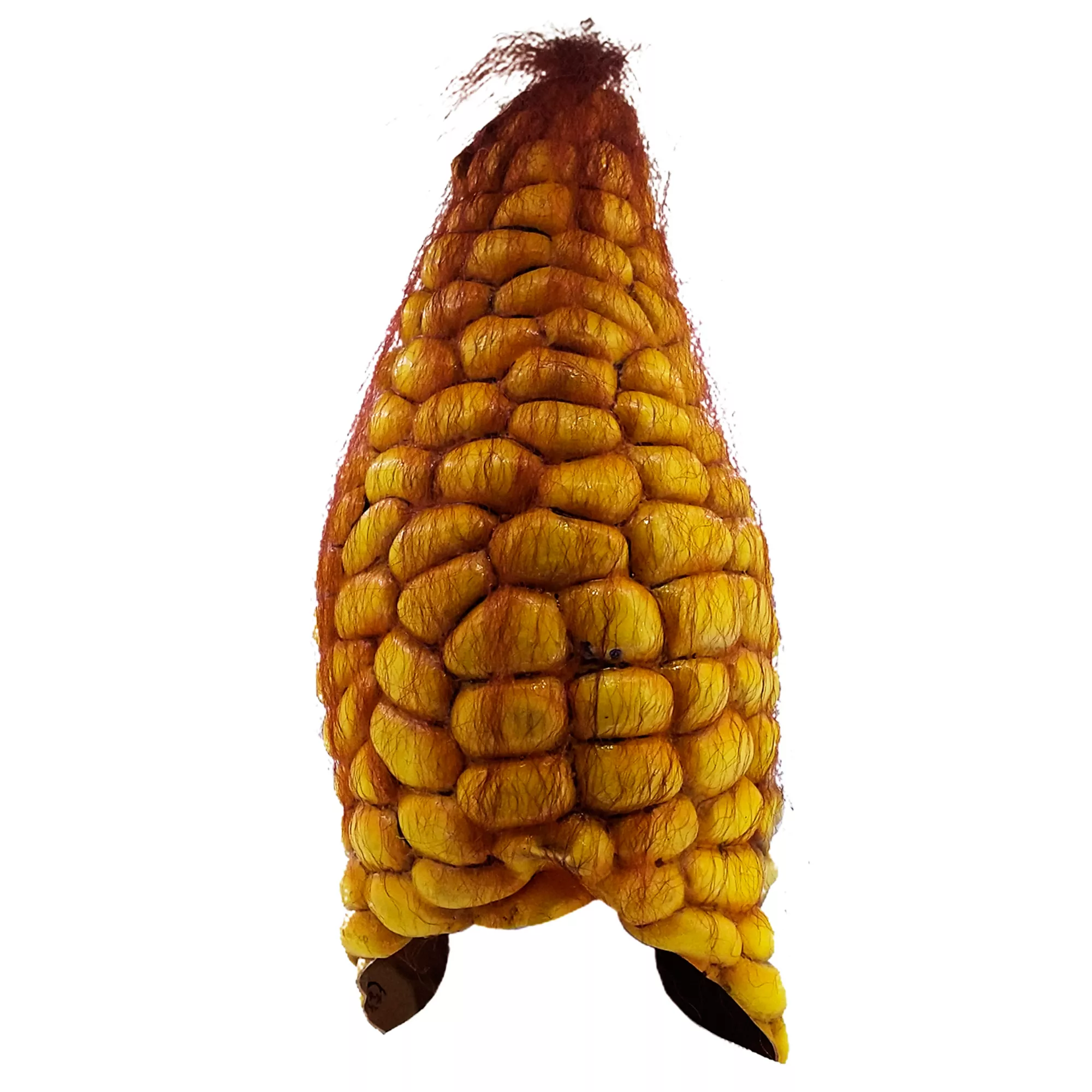 Evil Corn Mask at Spencer's