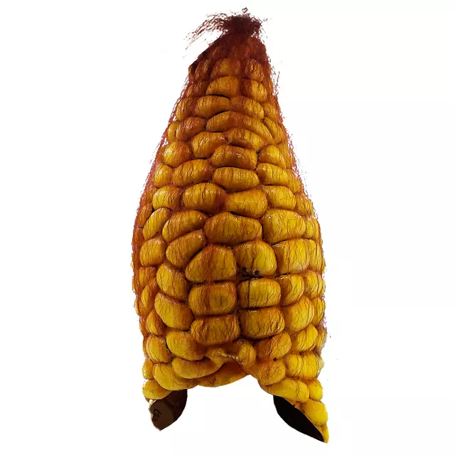 Evil Corn Mask at Spencer's