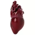 Bloody Heart at Spirit Halloween