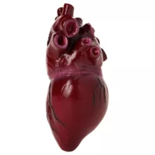 Bloody Heart at Spirit Halloween