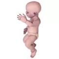 Slay Time Zombie Babies <sup>®</sup> Static Prop at Spirit Halloween