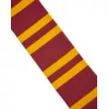 Gryffindor Scarf - Harry Potter at Spencer's