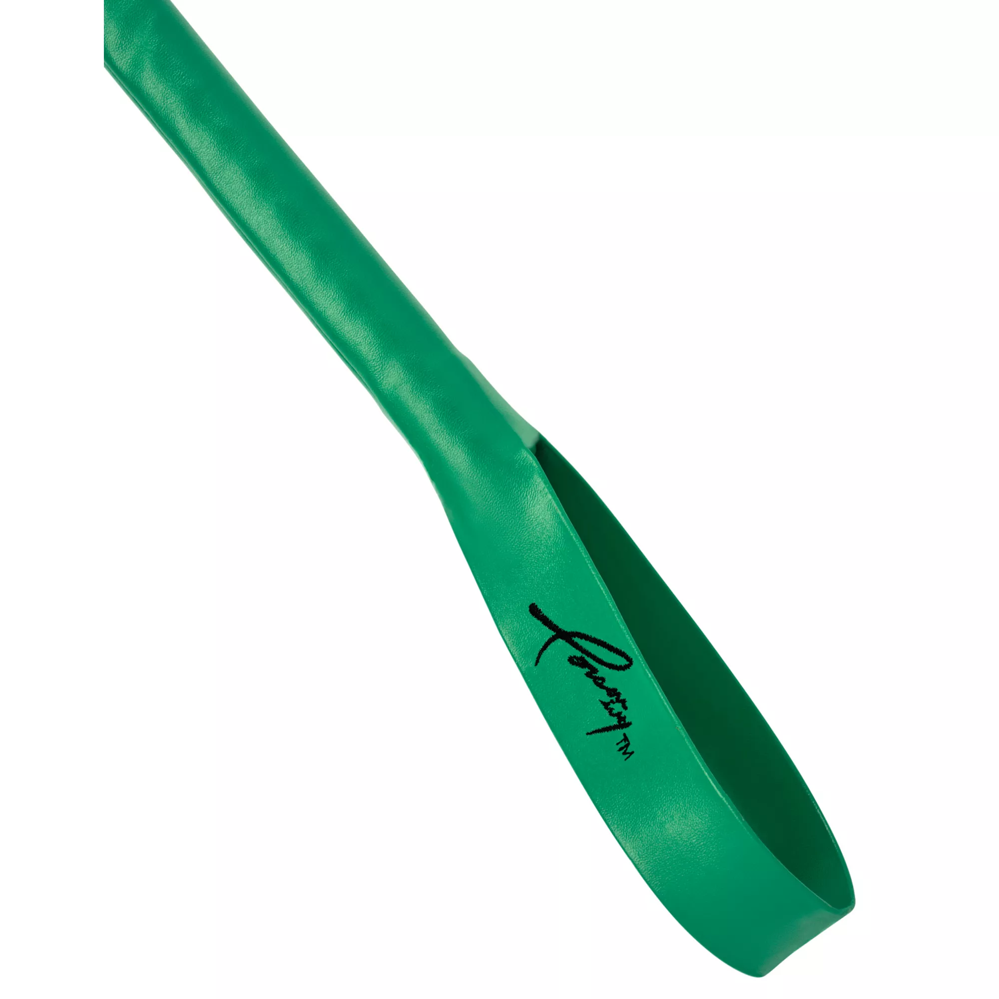 Poison Ivy Whip - DC Villains at Spencer's