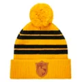 Hufflepuff Beanie - Harry Potter at Spencer's