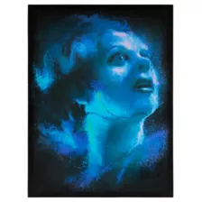 Bride of Frankenstein Canvas - Universal Monsters at Spirit Halloween