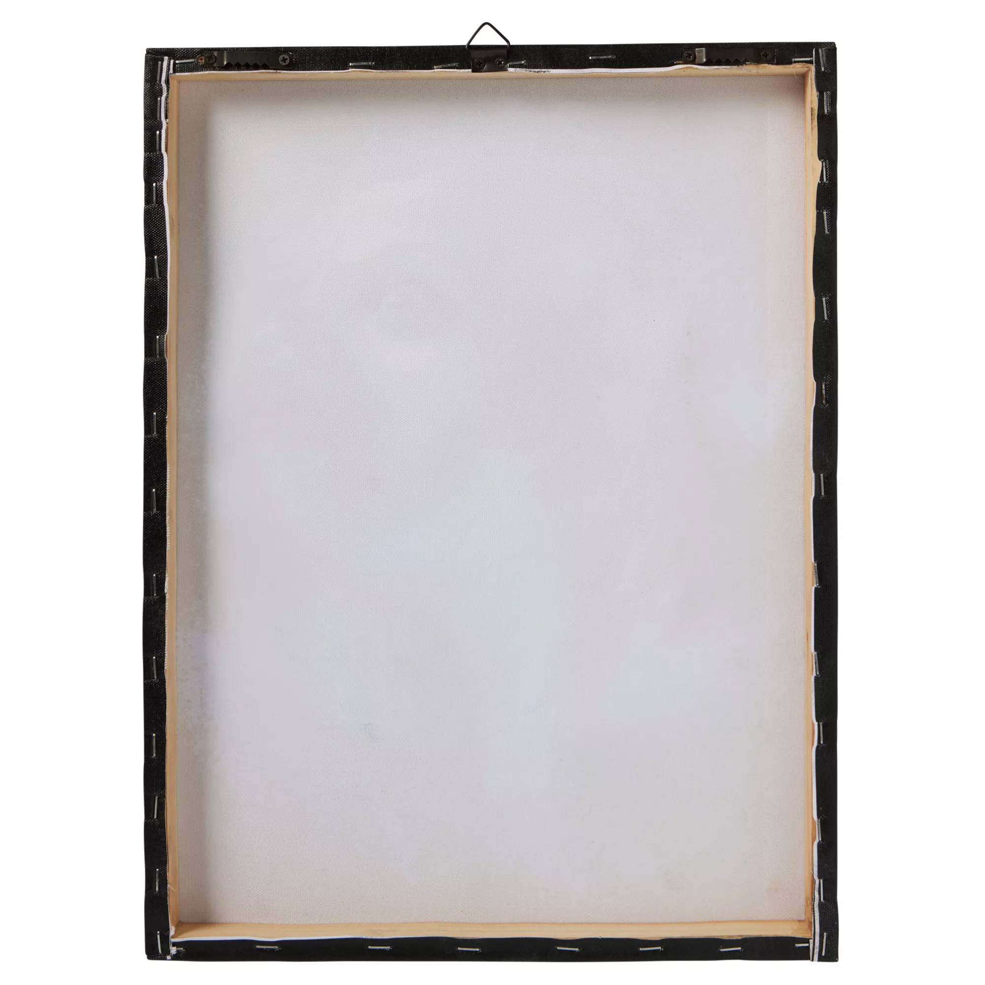 Bride of Frankenstein Canvas - Universal Monsters at Spirit Halloween