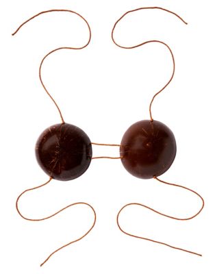 Hawaiian Coconut Shell Bra Funny Halloween Party png, sublim - Inspire  Uplift