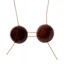 Coconut Bra at Spirit Halloween