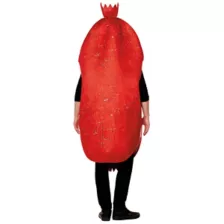 Adult Hard Salami Costume at Spirit Halloween