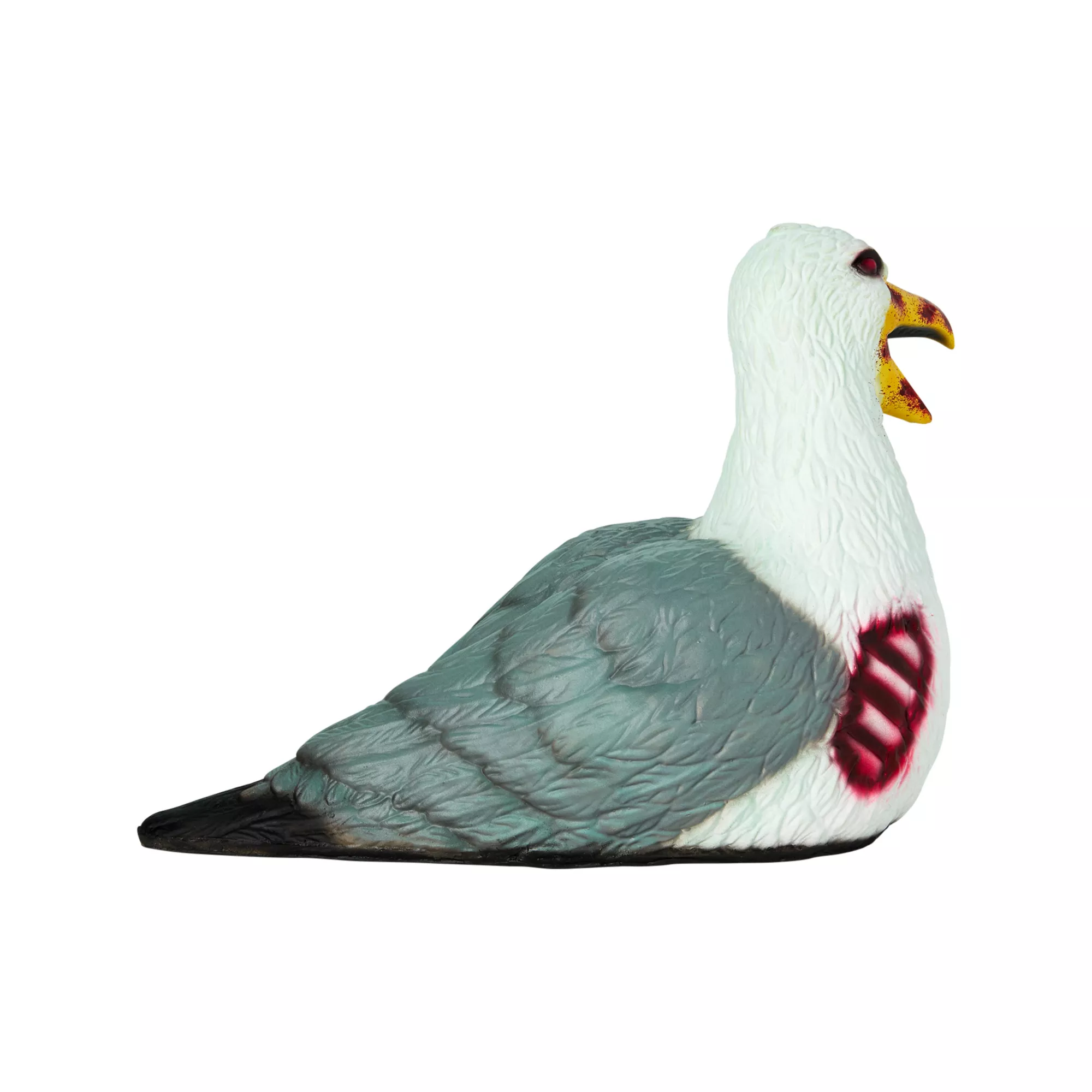 Zombie Seagull at Spencer's