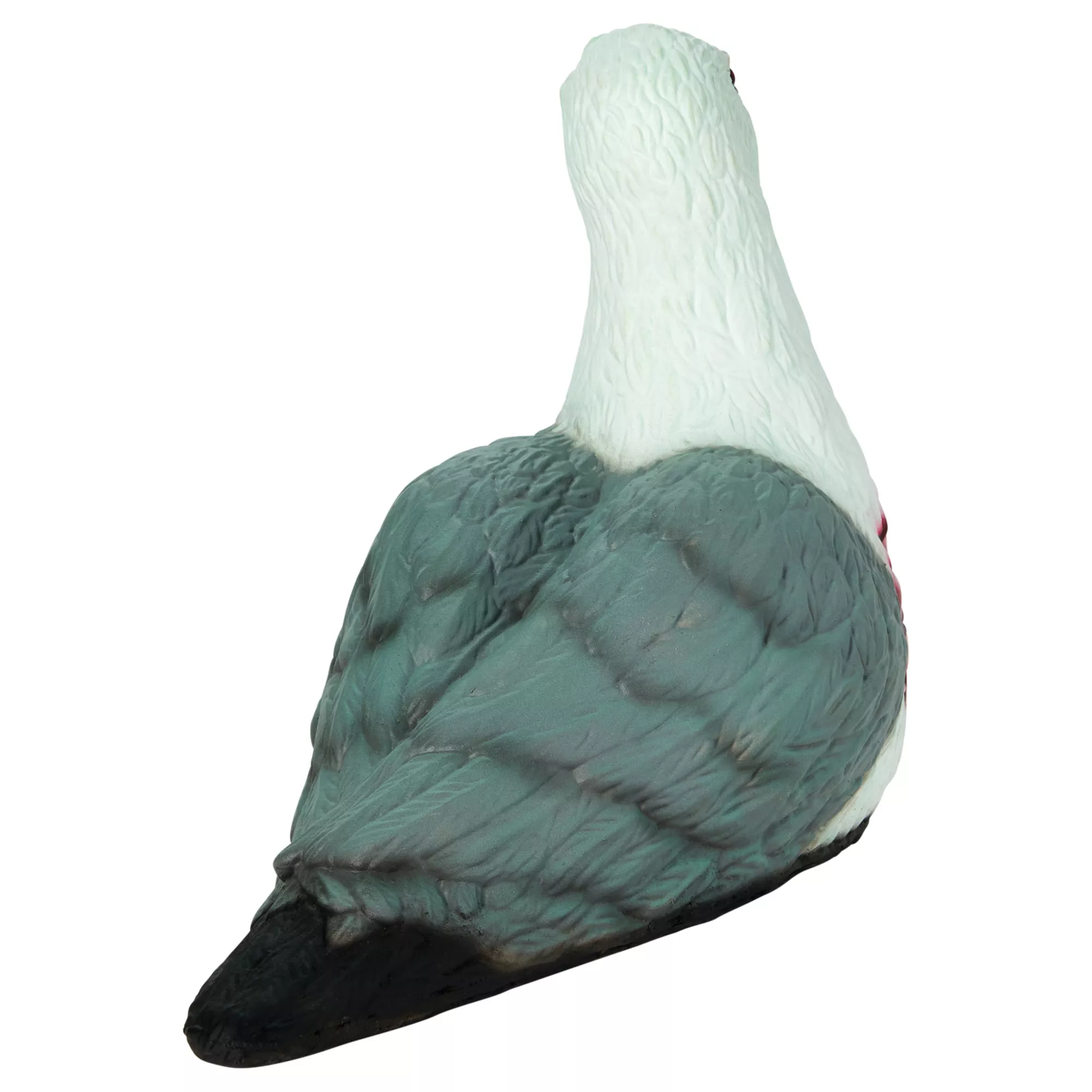 Zombie Seagull at Spencer's