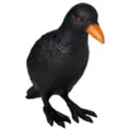 Creepy Crow at Spirit Halloween