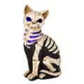 Mystical Arts Light-Up Skeleton Cat at Spencer's