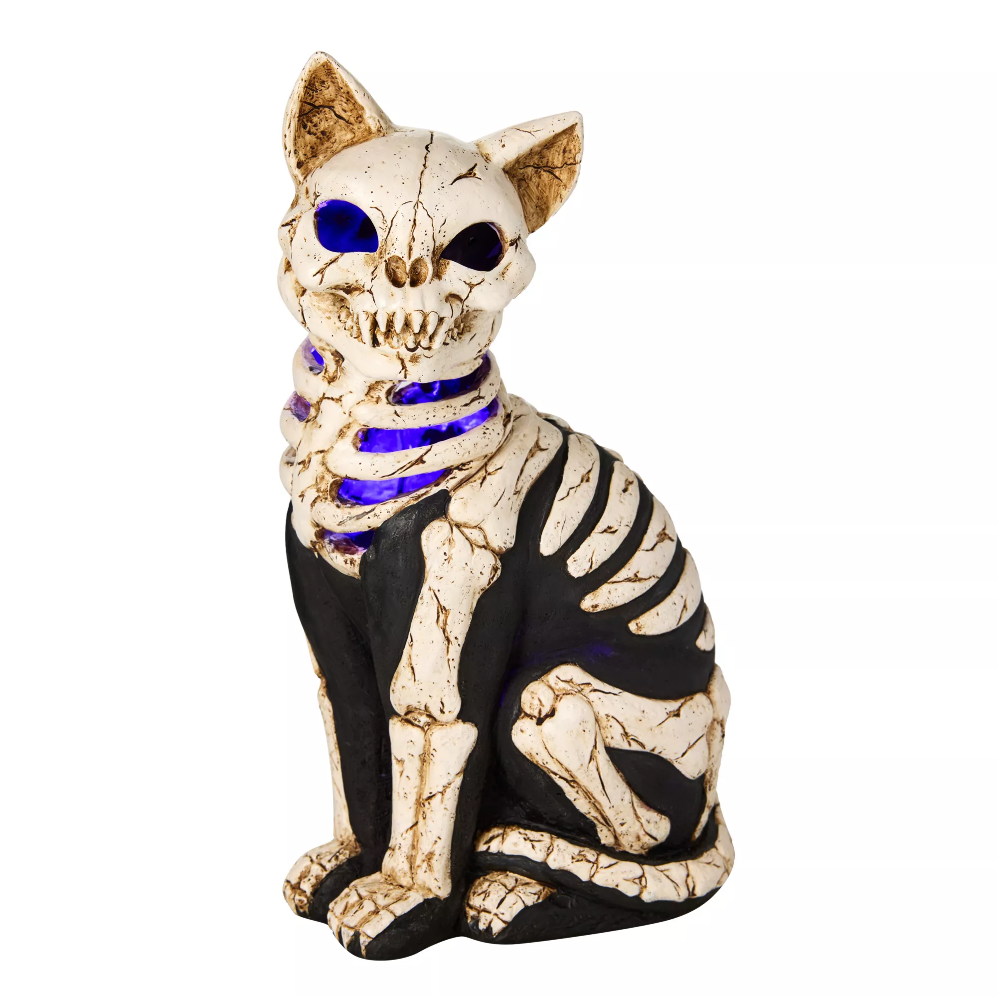 Mystical Arts Light-Up Skeleton Cat at Spencer's