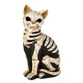 Mystical Arts Light-Up Skeleton Cat at Spencer's