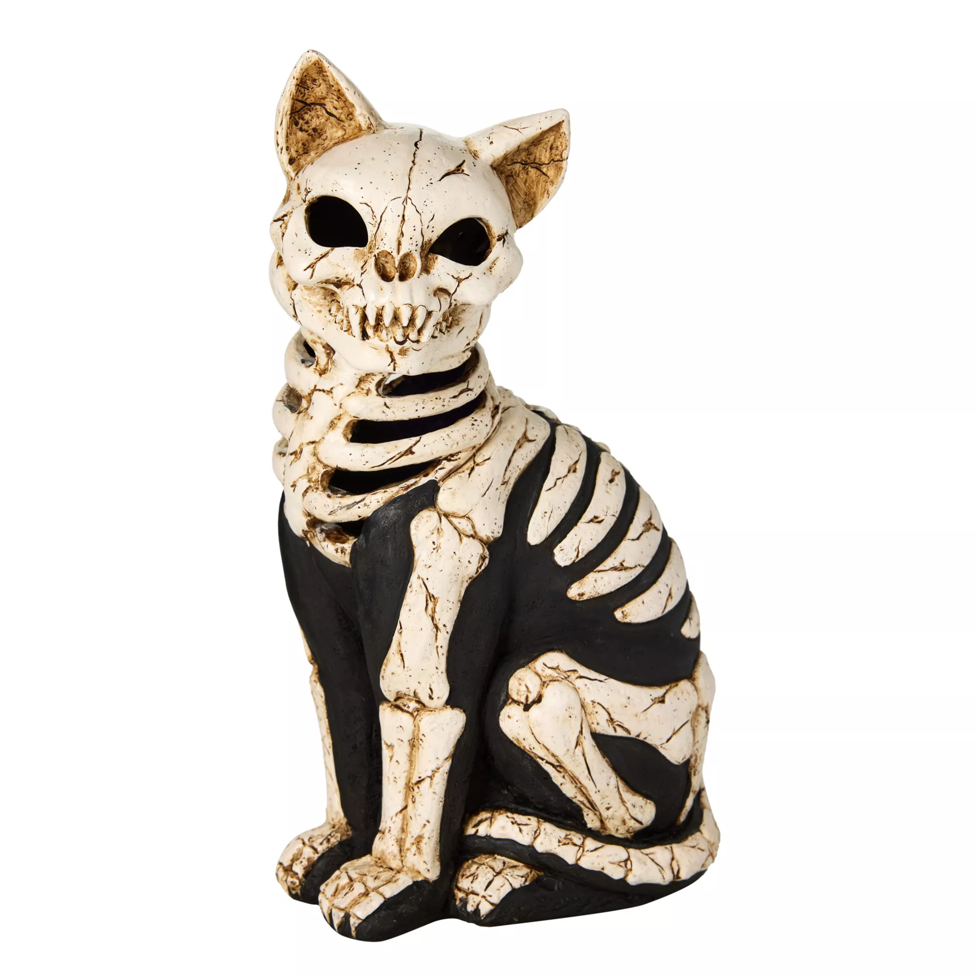 Mystical Arts Light-Up Skeleton Cat at Spencer's