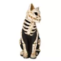 Mystical Arts Light-Up Skeleton Cat at Spencer's