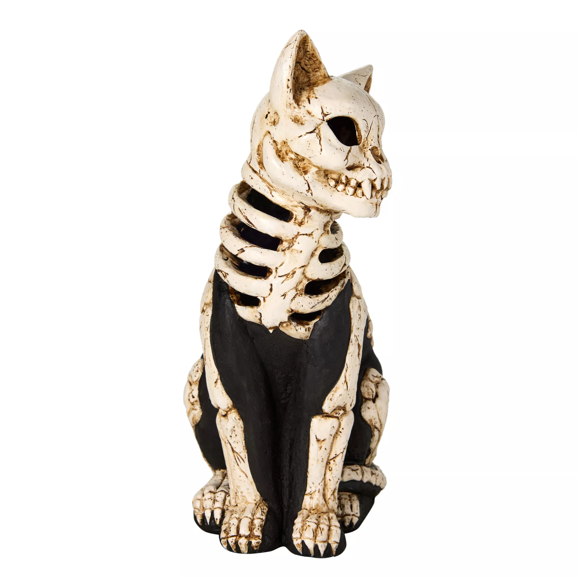 Mystical Arts Light-Up Skeleton Cat at Spencer's