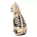 Mystical Arts Light-Up Skeleton Cat at Spencer's