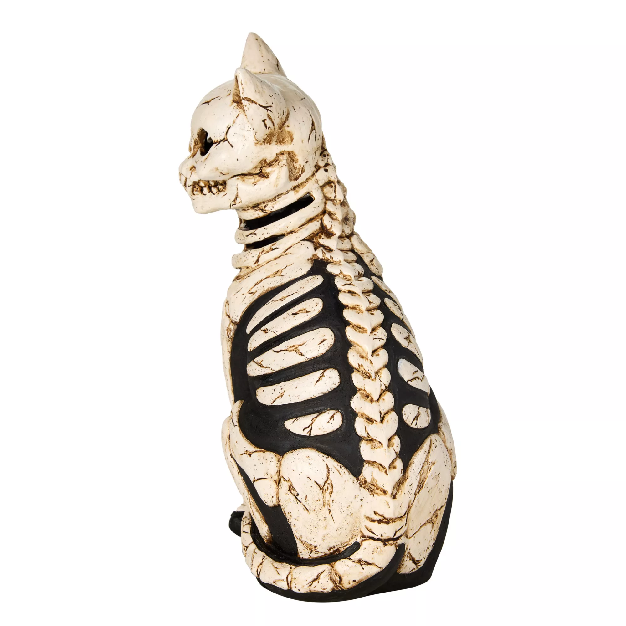 Mystical Arts Light-Up Skeleton Cat at Spencer's