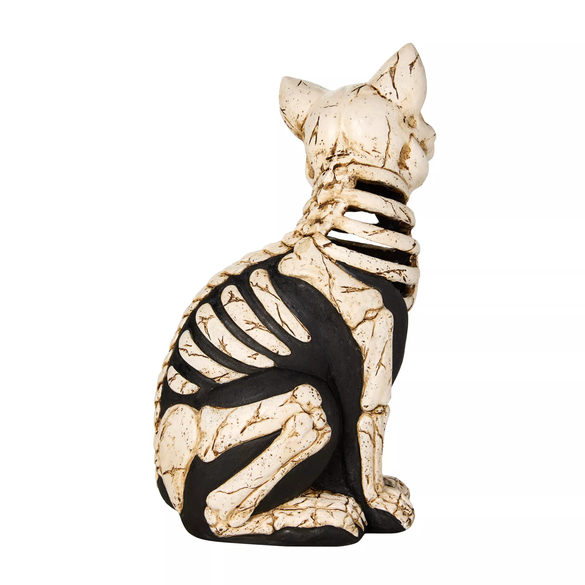 Mystical Arts Light-Up Skeleton Cat at Spencer's