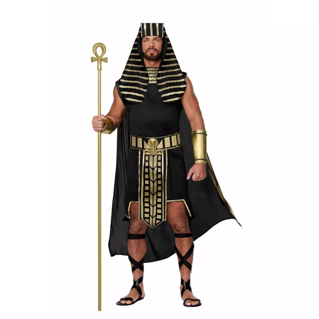 Adult Egyptian King Costume - Spirithalloween.com