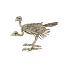 Two-Headed Vulture Skeleton at Spirit Halloween