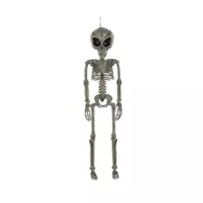 Alien Skeleton - 36 Inches - Spirithalloween.com Alien Skeleton - 36 Inches - Spirithalloween.com