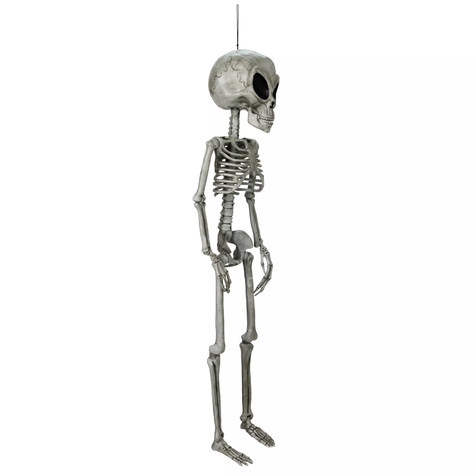 Alien Skeleton - 36 Inches at Spirit Halloween
