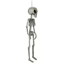 Alien Skeleton - 36 Inches at Spirit Halloween