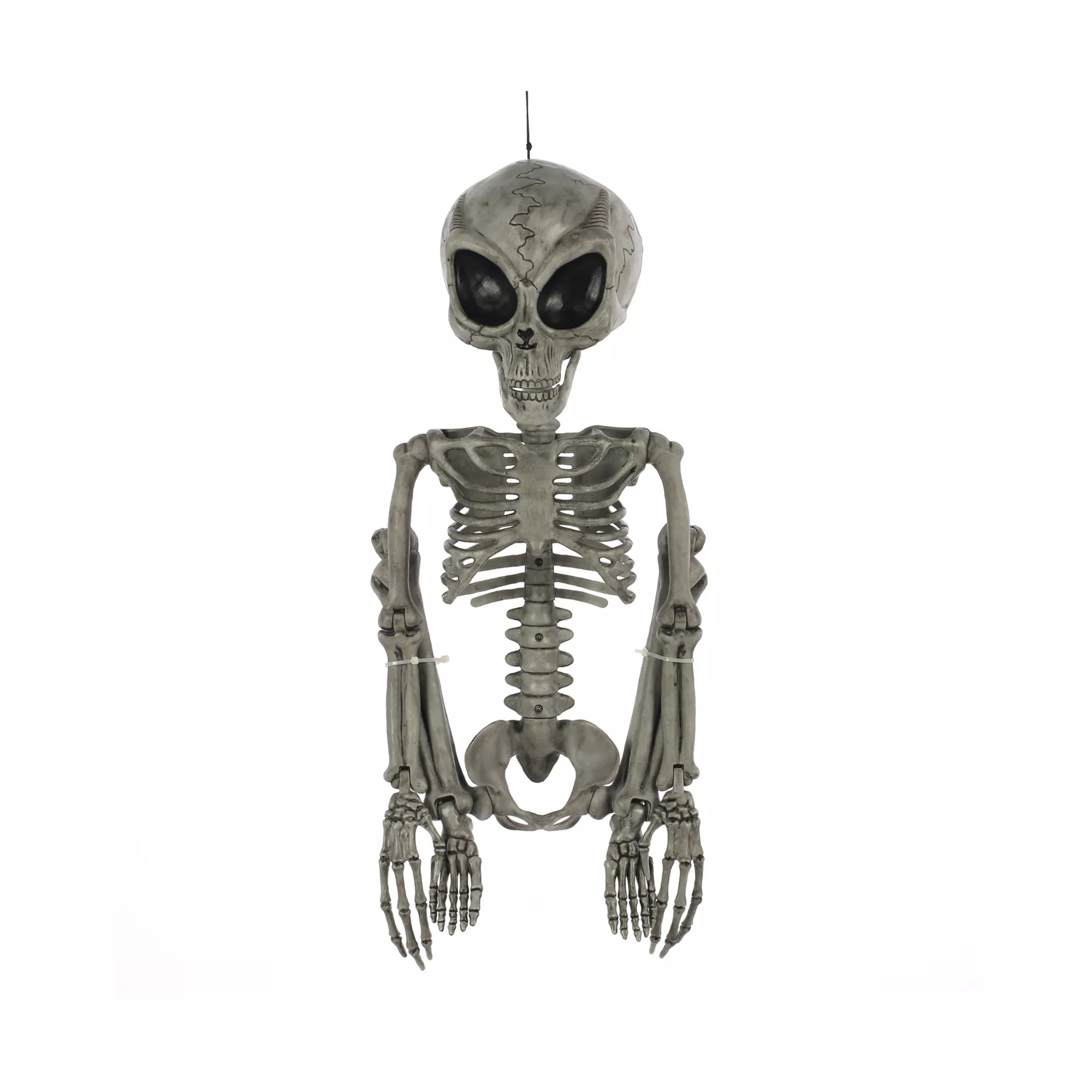 Alien Skeleton - 36 Inches at Spirit Halloween