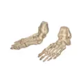 Skeleton Feet at Spirit Halloween