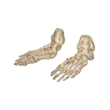 Skeleton Feet at Spirit Halloween